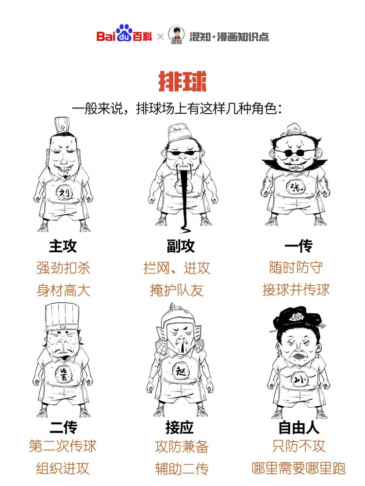 百科x混知：图解排球