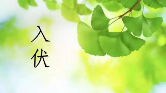 入伏