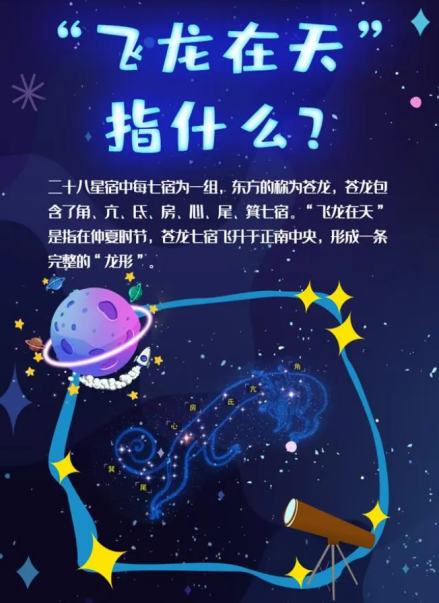仲夏端午，飞龙在天 
