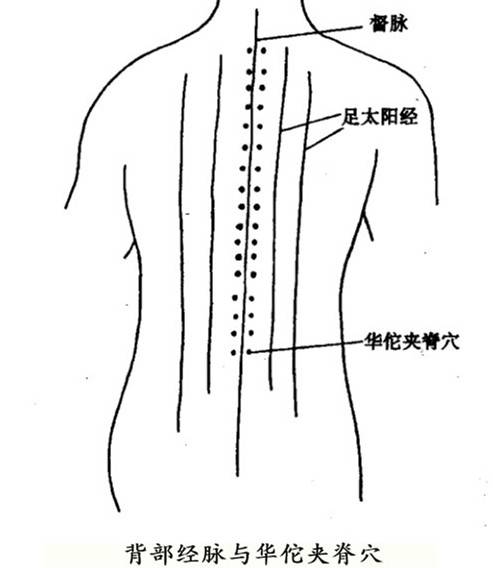 华佗夹脊穴