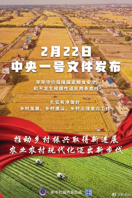 中央一号文件