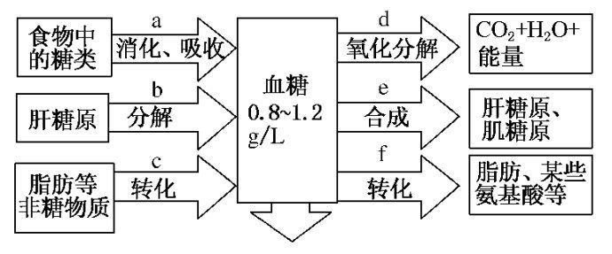 血糖平衡