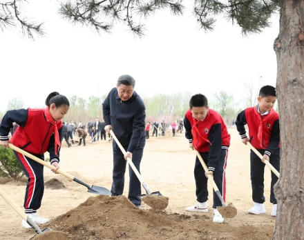 习近平同大家一起植树 