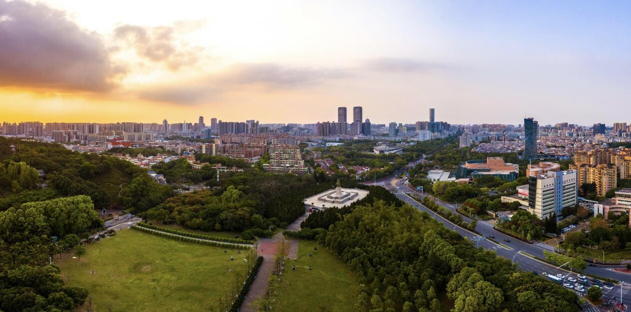 东区街道