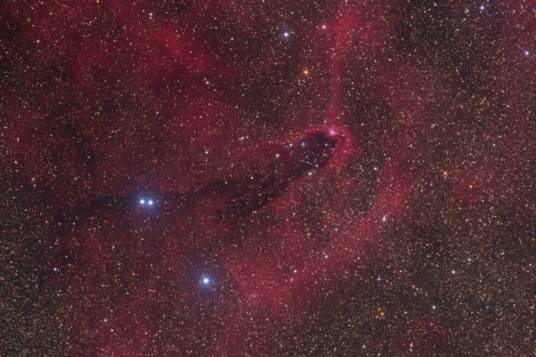 星协