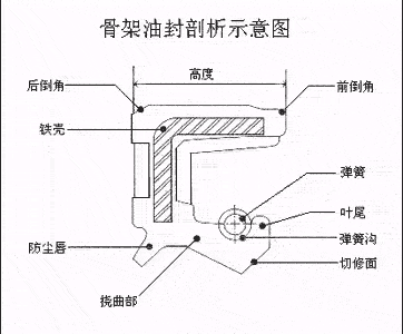 骨架油封结构剖析示意图