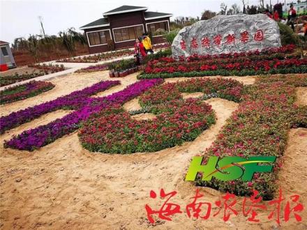 海南农垦