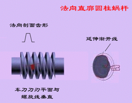 图2 法向直廓蜗杆