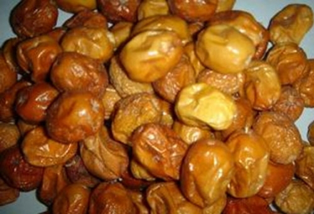 沙枣果实 