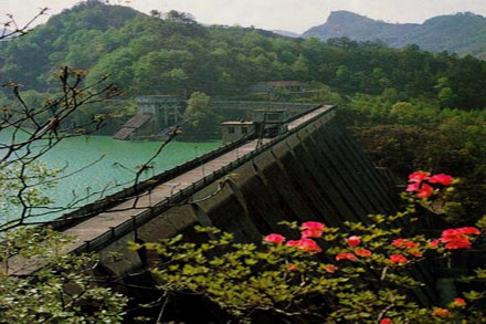 龙河口水库 