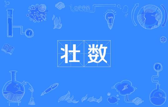 壮数