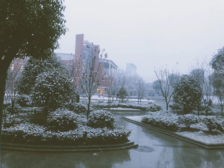 雪景
