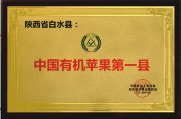 所获荣誉