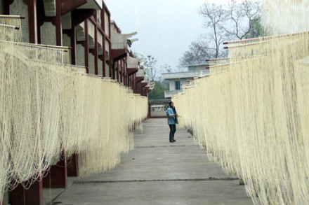 绥阳空心面条