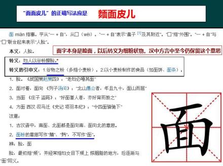 面皮