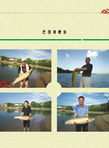 巴图湾鲤鱼