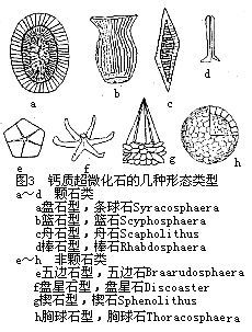 微锥