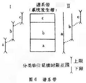 生物地层学