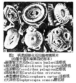 微锥