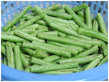 豆角