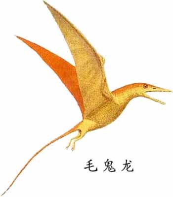 翼龙