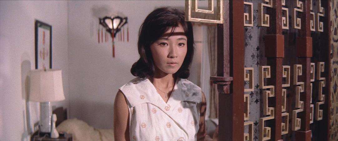 芦川泉的图片