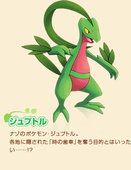 森林蜥蜴