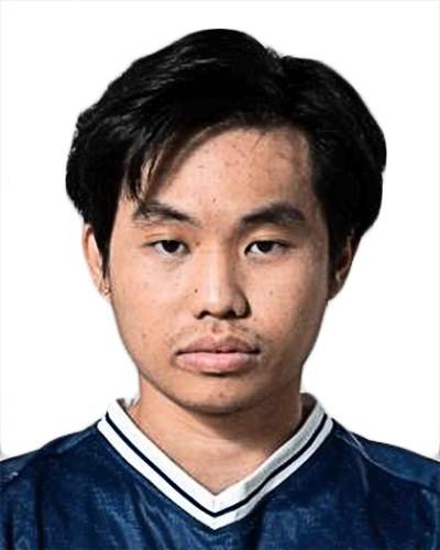 阿努沙·曼东