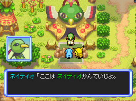 天然鸟鉴定