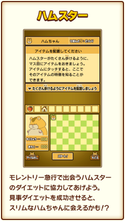 仓鼠