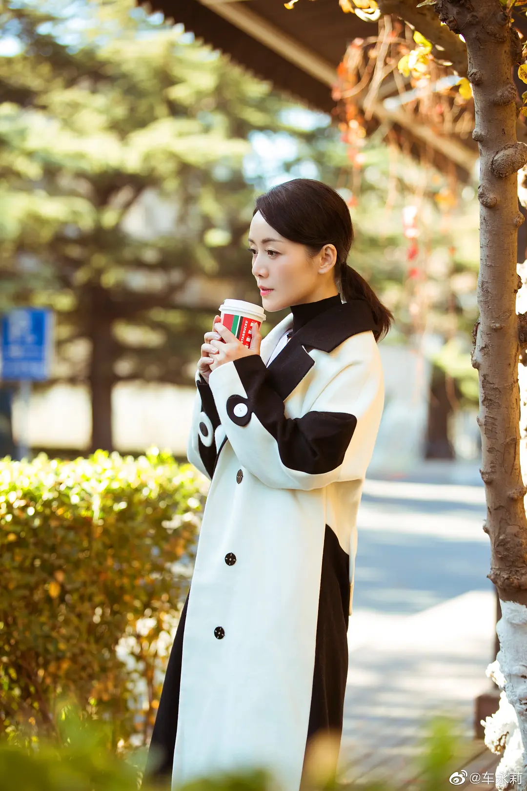 车永莉 车永莉